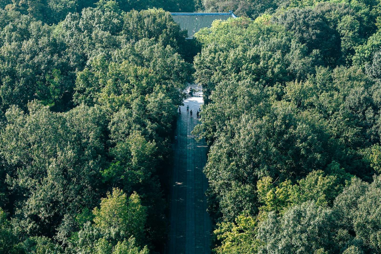 跨平台深度评测：你真的用透了这些核心的谷歌浏览器功能吗？